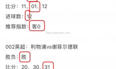 壹号娱乐-伯恩利主场告负，埃弗顿终结主场连败
