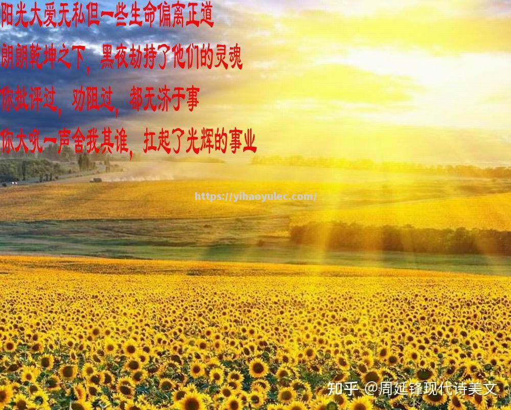 大连人欲奏凯劲升，挑战无畏之路